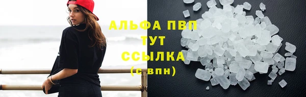 стафф Козловка