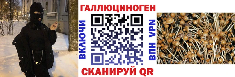 Галлюциногенные грибы MAGIC MUSHROOMS  Купить где  Зеленоградск 