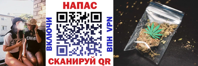 Купить  Зеленоградск  Канабис планчик 